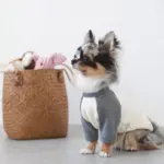 コーデュロイのブタさん - 画像 (4)