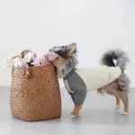 コーデュロイのブタさん - 画像 (7)