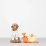 コーデュロイのアヒルさん - 画像 (2)