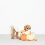 コーデュロイのきつねさん - 画像 (3)