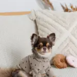 ドーナツおもちゃ - 画像 (2)