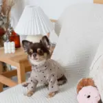 ドーナツおもちゃ - 画像 (5)