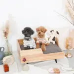 ドーナツおもちゃ - 画像 (8)