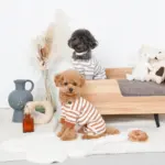 ドーナツおもちゃ - 画像 (9)