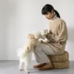 ひつじさん - 画像 (2)