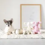 ひつじさん - 画像 (3)