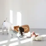 ひつじさん - 画像 (6)