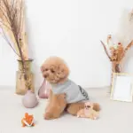 ちいさなキツネさん - 画像 (5)