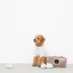 3匹のねずみさんのおもちゃ おうち付 - 画像 (2)