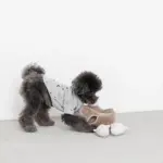 3匹のねずみさんのおもちゃ おうち付 - 画像 (4)