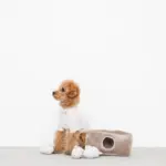 3匹のねずみさんのおもちゃ おうち付 - 画像 (5)