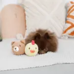 手編みコットンアニマルトイ - 画像 (6)