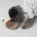 はりねずみさん - 画像 (4)