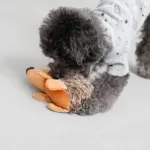 はりねずみさん - 画像 (5)