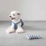 ギンガムチェックボーン - 画像 (3)