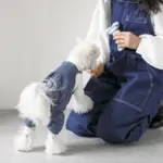 ギンガムチェックボーン - 画像 (4)