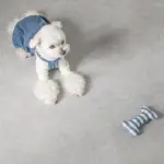 ギンガムチェックボーン - 画像 (5)