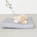 イチゴとパインのおもちゃ - 画像 (3)