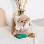 ツリーとトナカイ - 画像 (6)