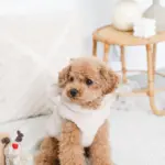 ツリーとトナカイ - 画像 (8)