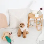 ツリーとトナカイ - 画像 (10)