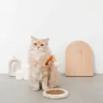 キャットパンチングおもちゃ - 画像 (2)