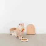 キャットパンチングおもちゃ - 画像 (3)