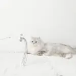 ポンポン付スエードリボンねこじゃらし - 画像 (2)