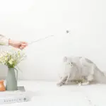 リボン付ビーズねこじゃらし - 画像 (2)