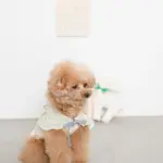 ネックリボンバンビさん - 画像 (5)