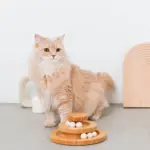 ナチュラルウッドボール回転盤 - 画像 (2)