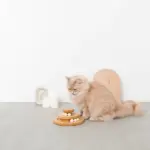 ナチュラルウッドボール回転盤 - 画像 (3)