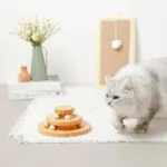 ナチュラルウッドボール回転盤 - 画像 (4)