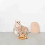 ナチュラルウッドボール回転盤 - 画像 (6)