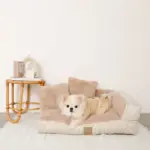 ソファーベッド【名入れ刺繍対応】 - 画像 (5)