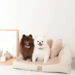 ソファーベッド【名入れ刺繍対応】 - 画像 (8)