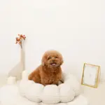 ギンガムチェックドーナツクッションベッド - 画像 (3)