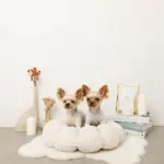 ギンガムチェックドーナツクッションベッド - 画像 (7)