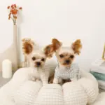 ギンガムチェックドーナツクッションベッド - 画像 (8)