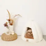 ファードーム型セミクローズドファーペットハウス クッション付 - 画像 (6)