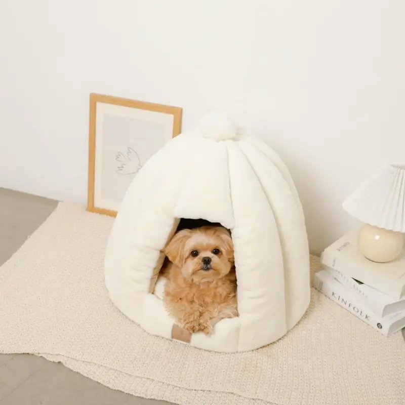 犬 用 鹿 肉 - Professional Guide and Review