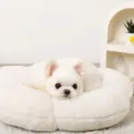 フラワーファークッションベッド - 画像 (3)