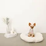 フラワーファークッションベッド - 画像 (5)