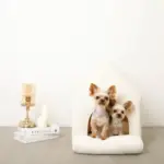 ナチュラル小窓付きコーデュロイペットハウス - 画像 (6)