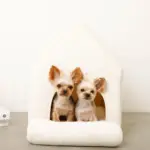 ナチュラル小窓付きコーデュロイペットハウス - 画像 (9)