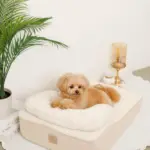 低反発まくら付きスロープクッションベッド - 画像 (4)