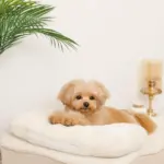 低反発まくら付きスロープクッションベッド - 画像 (6)