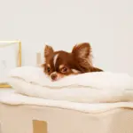 低反発まくら付きスロープクッションベッド - 画像 (8)