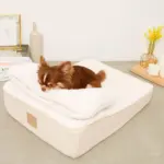 低反発まくら付きスロープクッションベッド - 画像 (9)