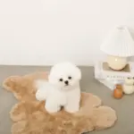 くまさんファーマット - 画像 (6)